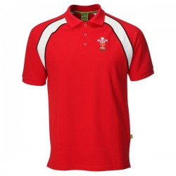 Polo Wales Rugby